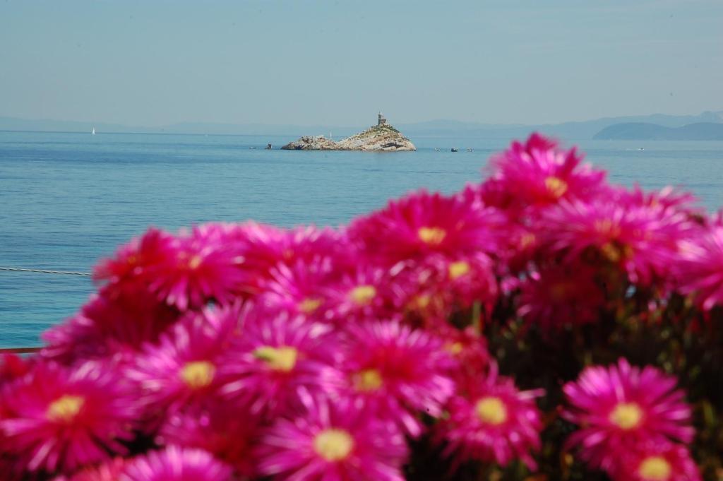 Hotel Villa Ombrosa Portoferraio Szoba fotó